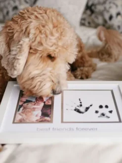 Pearhead Best Friends Forever -kehys – Lapsi & Lemmikki