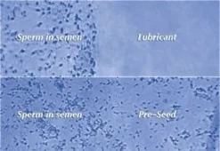 PRESEED siittiöystävällinen liukuvoide
