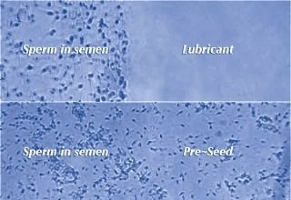 PRESEED siittiöystävällinen liukuvoide