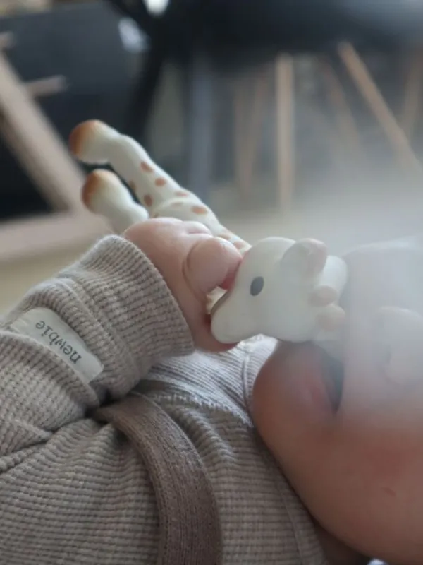SOPHIE THE GIRAFFE luomupurulelu